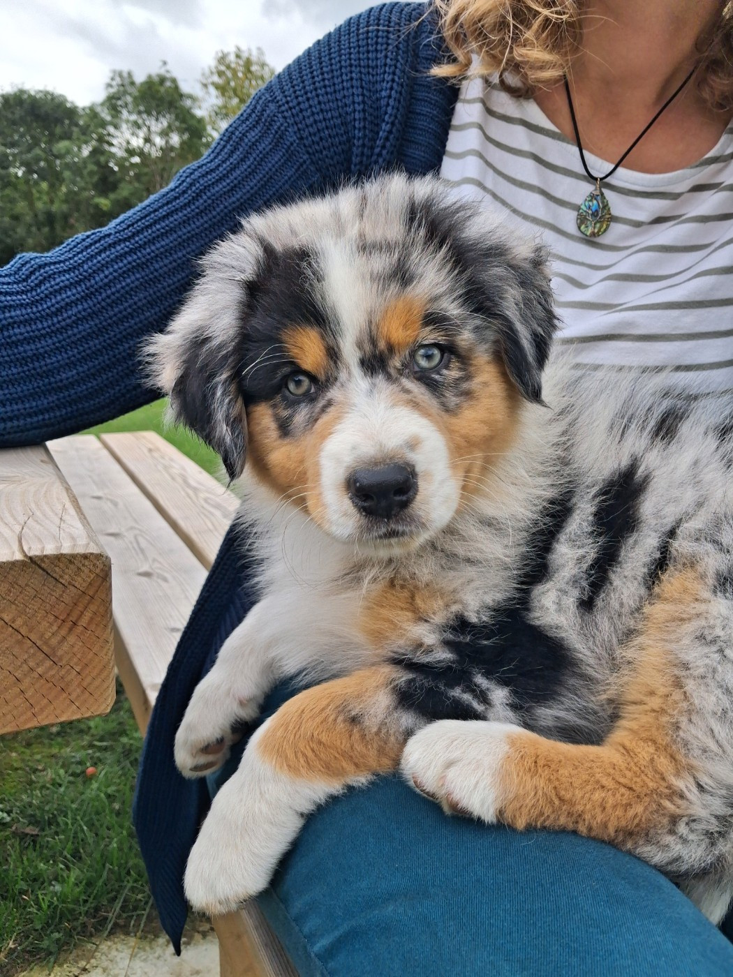 Aloha de l'empreinte Eternelle